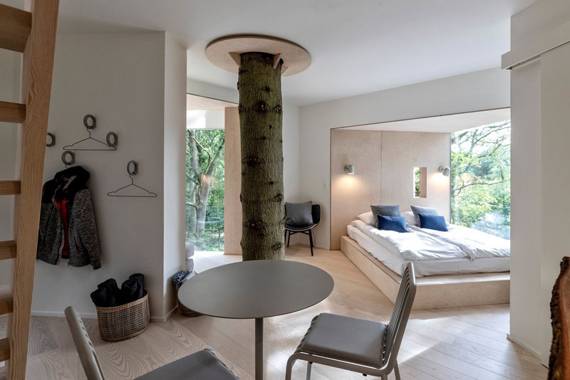 网红酒店“树屋”