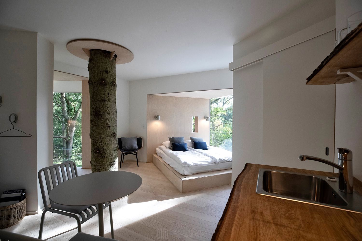 抖音网红树屋酒店