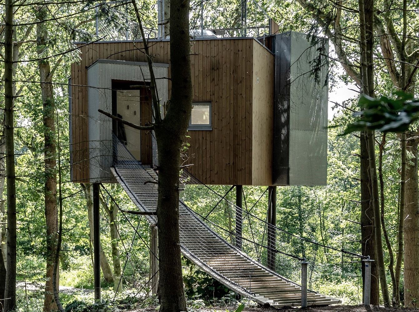 抖音最火人气网红酒店